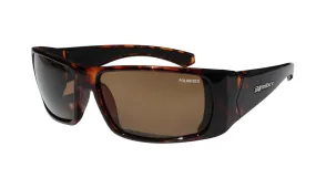 PIPE - Polarized Tortoise